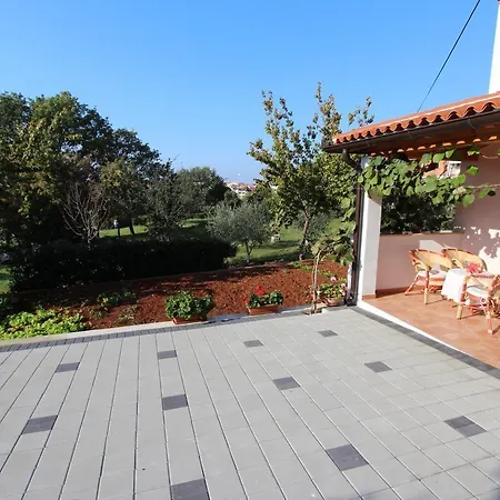 Dujmovic * روفينج